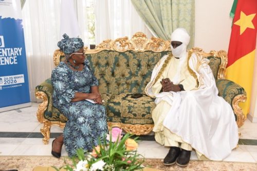 C P OMC (1323) - Moyenne