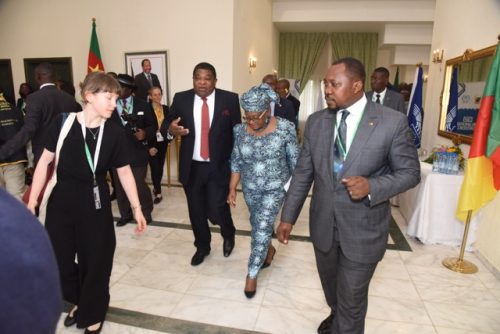 C P OMC (1336) - Moyenne