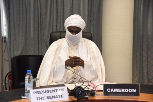 C P OMC (195) - Moyenne