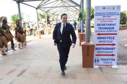 C P OMC (771) - Moyenne