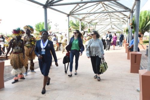 C P OMC (775) - Moyenne