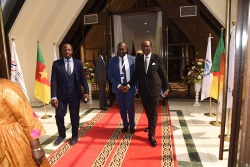 C P OMC (844) - Moyenne