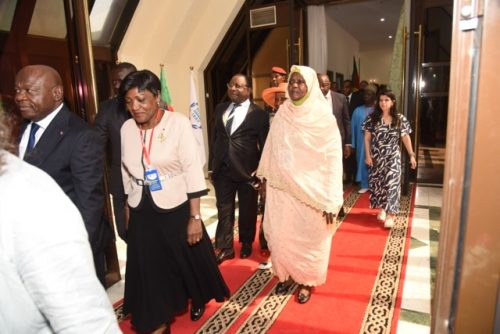 C P OMC (847) - Moyenne