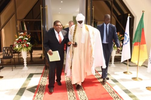 C P OMC (943) - Moyenne